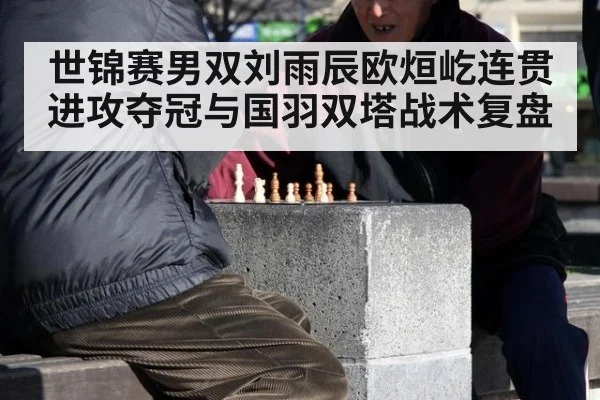 世锦赛男双刘雨辰欧烜屹连贯进攻夺冠与国羽双塔战术复盘（jiuyou）